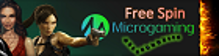 FreeSpinMicrogaming.com